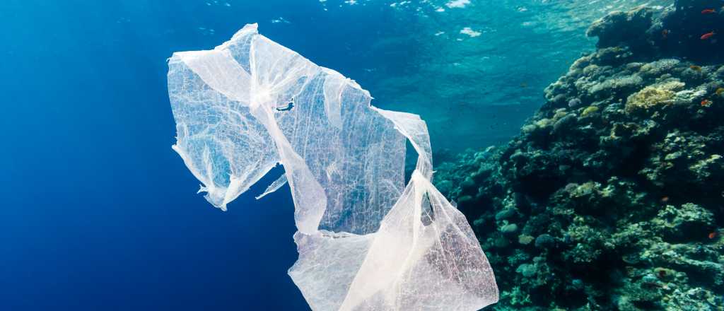 Lanzan campaña para reducir la cantidad de plástico en los océanos 