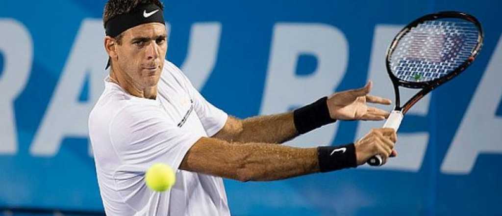 Gan&oacute; Del Potro y le toca jugar con Djokovic