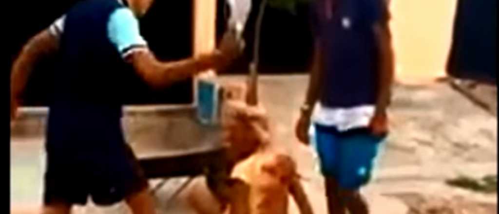 Video: mataron a patadas a un travesti en Brasil