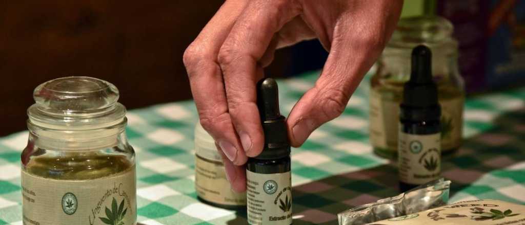 La Justicia autoriz&oacute; el uso de cannabis medicinal en doce casos particulares