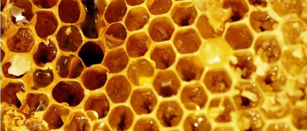 Esto es todo lo que le puede aportar la miel a tu piel