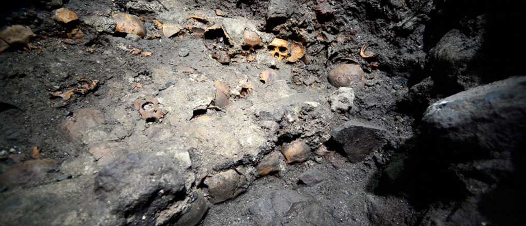 Descubren 47 cráneos en un cementerio clandestino en México