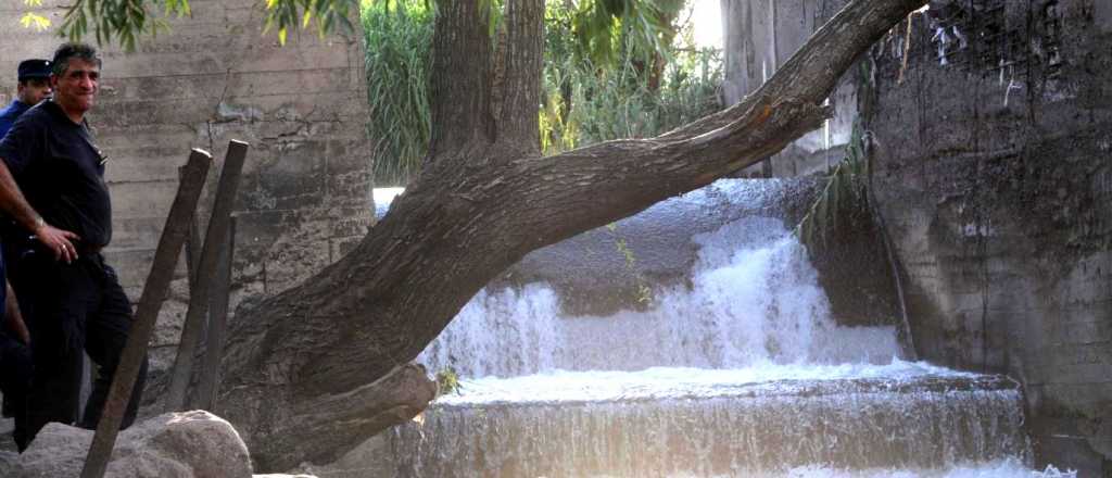 Vuelven a reducir el agua para riego del Río Mendoza