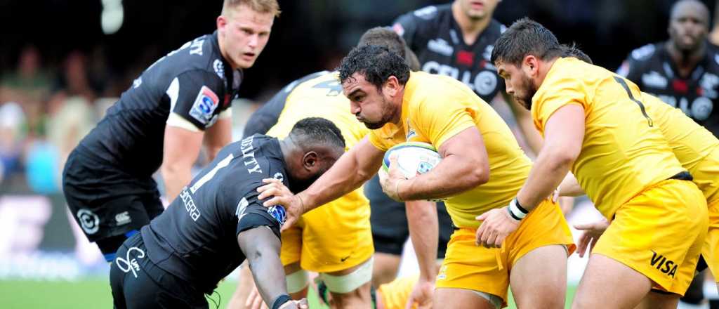 Partidazo de rugby: hoy juegan los Jaguares de local ante los Sharks 