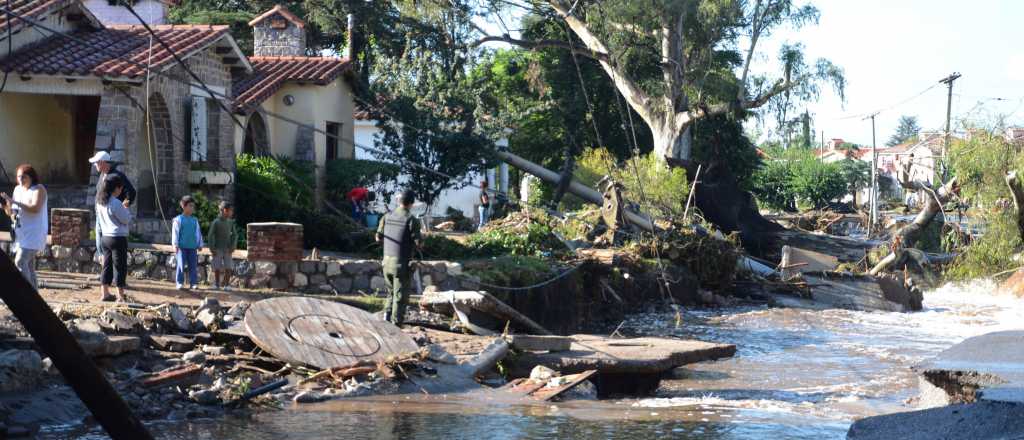 Para Greenpeace, lo de C&oacute;rdoba no fue �un tsunami", como dijo De la Sota
