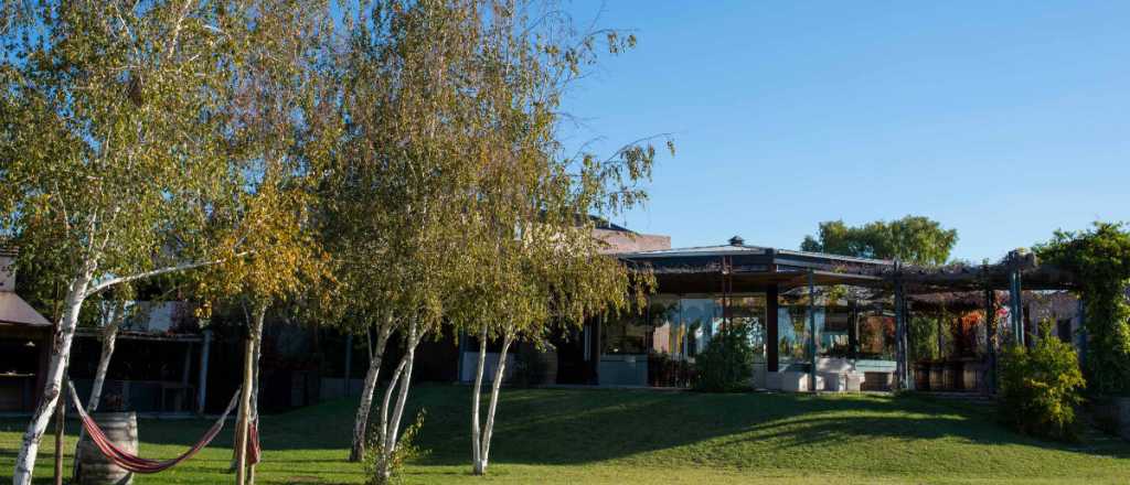 Visitando bodegas: Tierras Altas