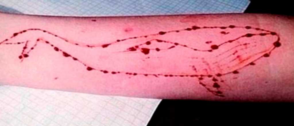 ¿Cómo saber si tu hijo juega a "La ballena azul"?