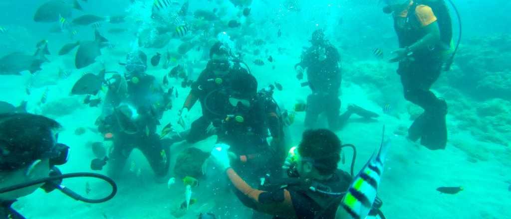 Video: un buzo film&oacute; c&oacute;mo se siente un temblor en el fondo del mar 