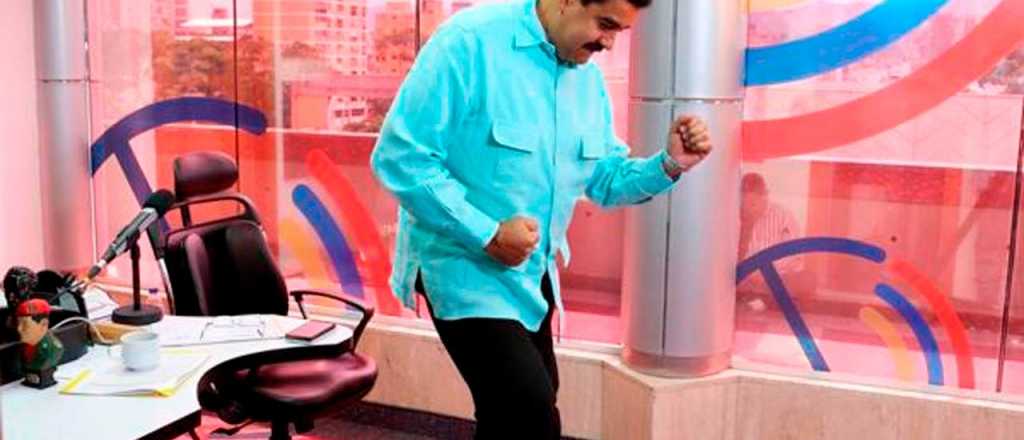 Nicol&aacute;s Maduro ahora habla con las vacas