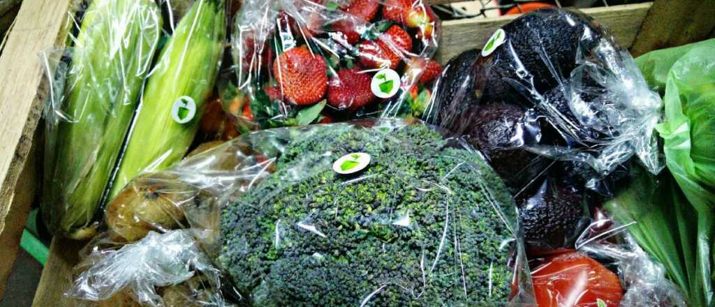 Lleg&oacute; a Mendoza el delivery de verduras online