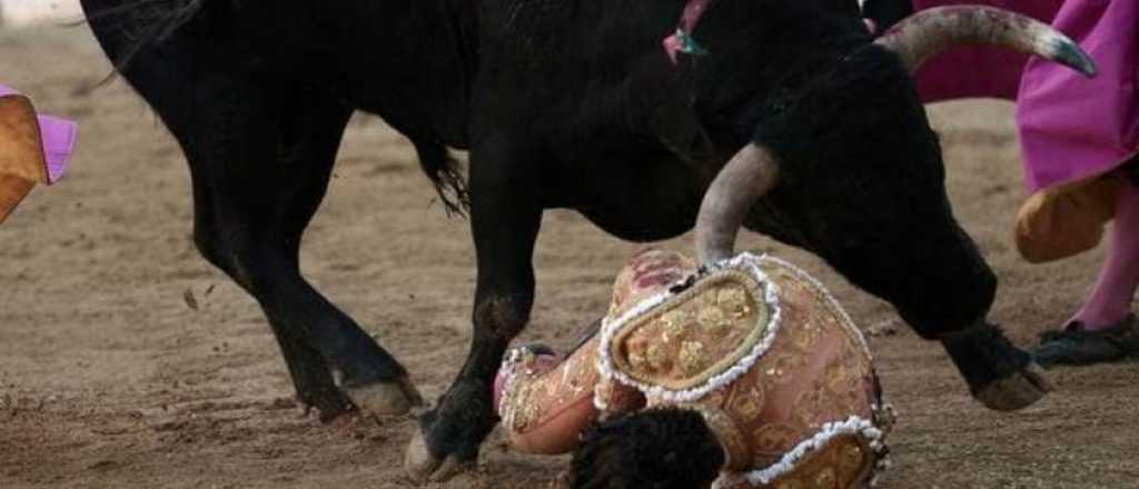 Video: torero muri&oacute; de una cornada en un pulm&oacute;n