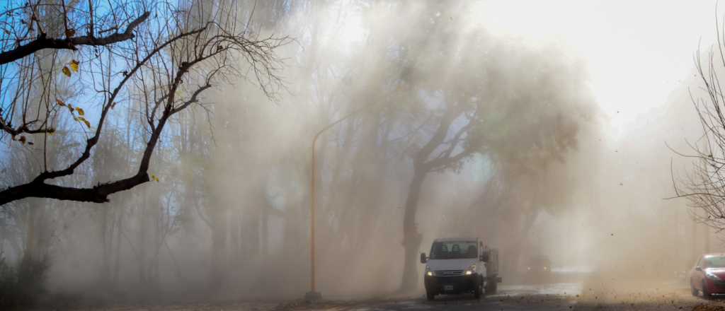 El titular del EPRE comentó el saldo que dejó el Zonda