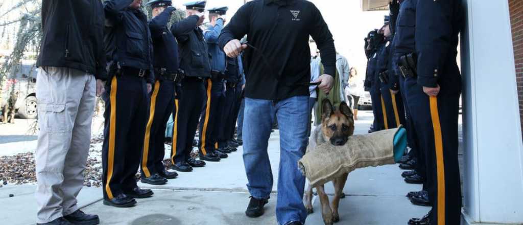 Emocionante despedida a un perro policía antes de ser sacrificado