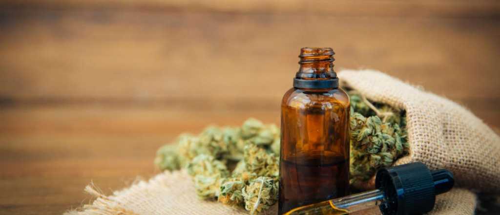 Mendoza reglamentó el uso de cannabis medicinal