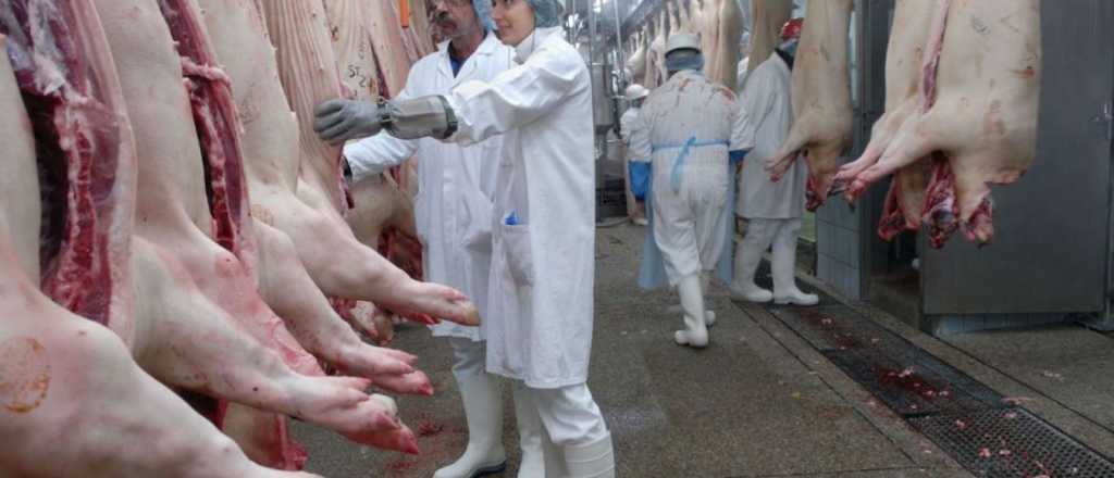 Creció 1,8% producción de carne porcina en los primeros diez meses de 2019