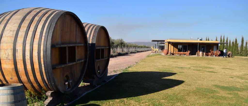 Visitando Bodegas: A16