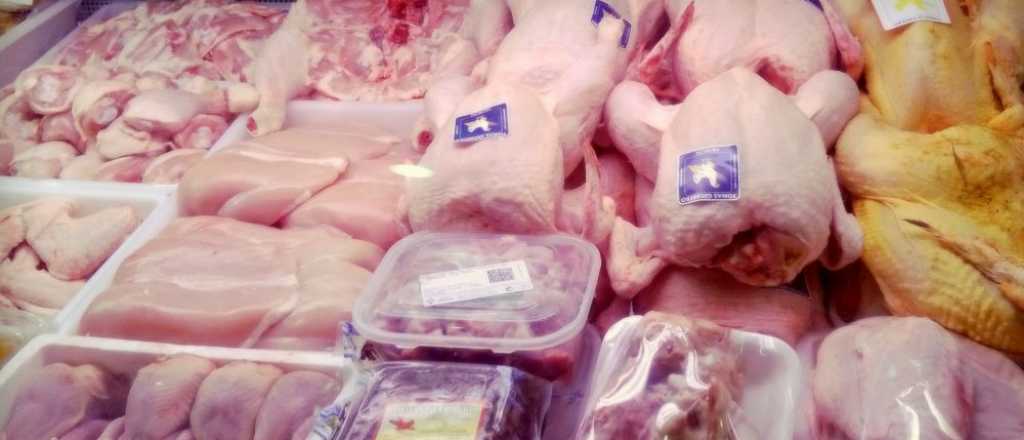 Desmienten que se utilicen hormonas en la alimentaci&oacute;n de los pollos