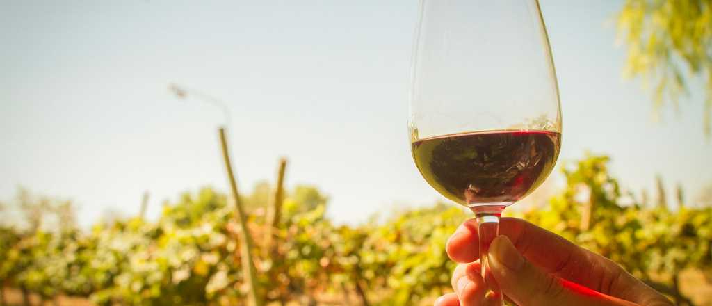 Una eminencia del vino le mandó una ingeniosa carta a Dujovne