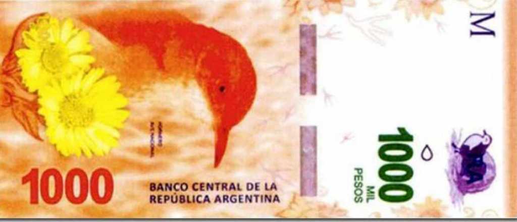 El billete de $1.000 vale 71% menos que cuando se lanz&oacute;