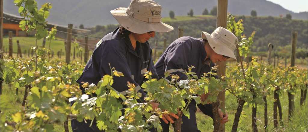 Bragagnolo y un sentido mensaje a los trabajadores vitivinícolas