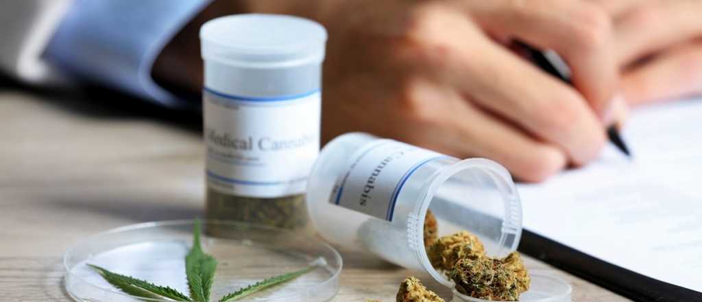 La DGE abrió una carrera de cultivo de Cannabis en Santa Rosa