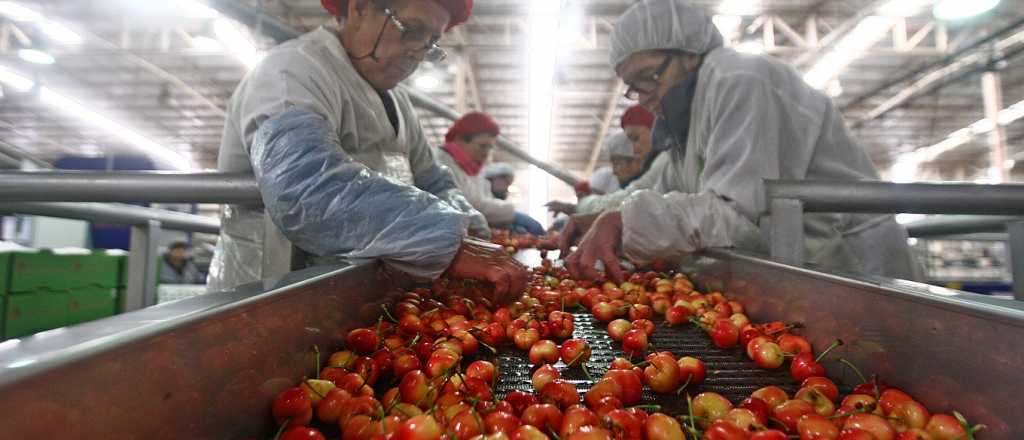 Para Coca Cola, Argentina es el mayor proveedor de frutas de la regi&oacute;n
