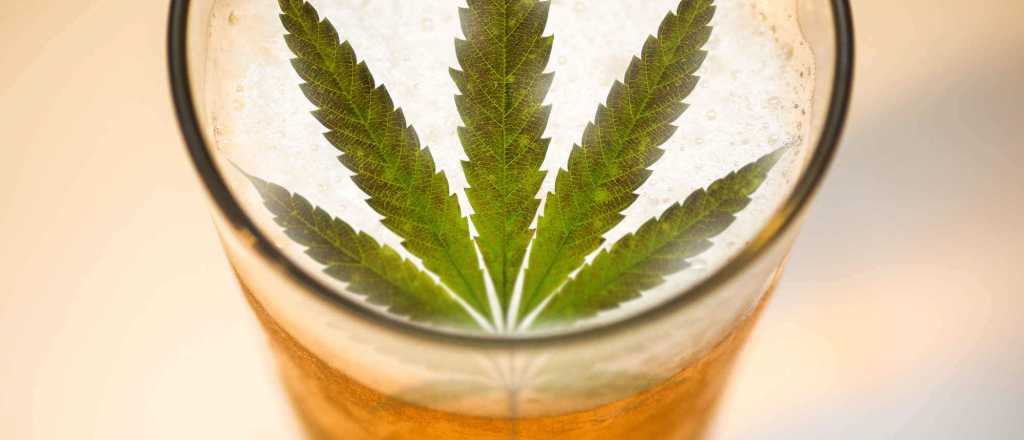 Corona quiere vender "cerveza con cannabis y limón"