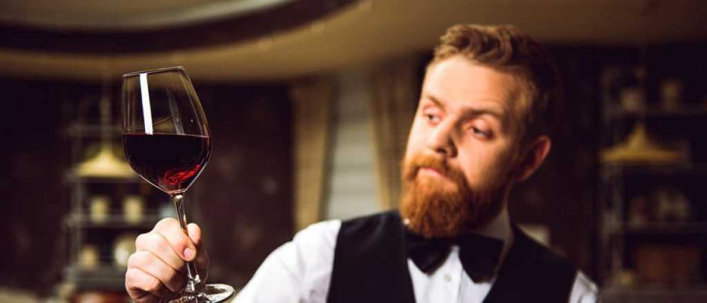 Por qué una mosca hembra (y no macho) te puede arruinar una copa de vino