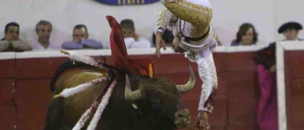 Video: torero mexicano fue corneado en los testículos