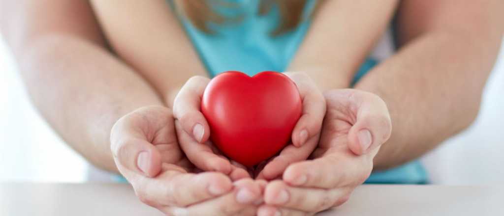 Si quiero ser donante de &oacute;rganos, &iquest;qu&eacute; tengo que hacer?