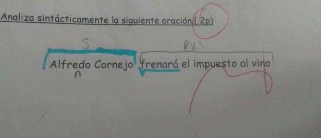 La directora habló sobre la denuncia de "adoctrinamiento" de Ilardo