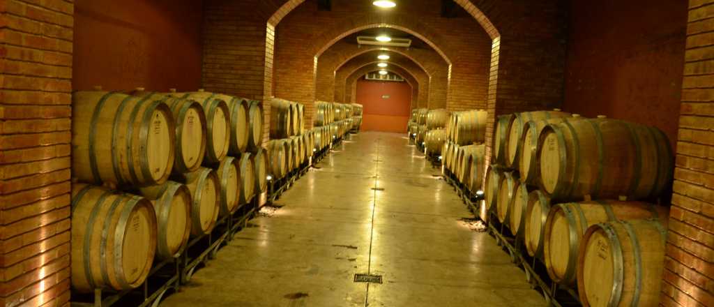 Finca Agostino compró la bodega O. Fournier