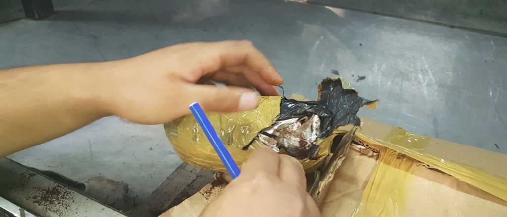 El pasajero de un colectivo fue detenido con coca&iacute;na en San Carlos