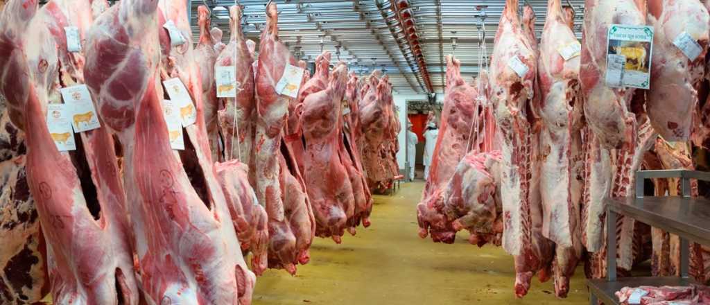 Estiman que exportaciones de carne argentina a China aumentará 25%