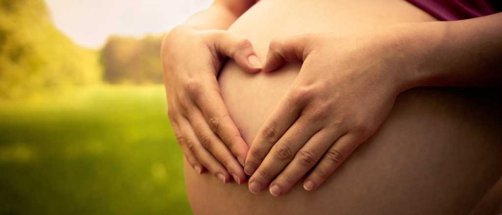 Primeras 20 semanas de embarazo: señales de que tenés que ir al hospital