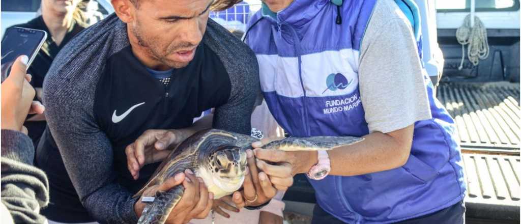 Tevez reveló su costado solidario y reinsertó un tortuga marítima rescatada