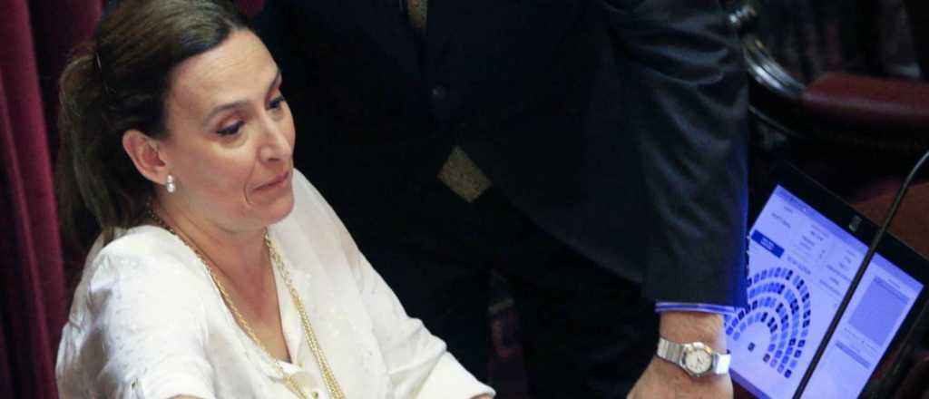 Acusan a Michetti de estirar el tratamiento del aborto legal