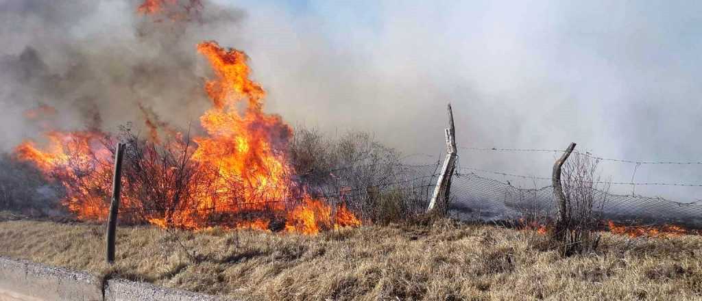 Combaten en San Rafael un incendio que ya afectó 1.200 hectáreas