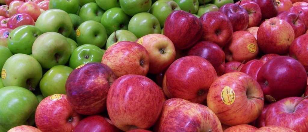 Brasil destrabaría esta semana el ingreso de manzanas y peras mendocinas