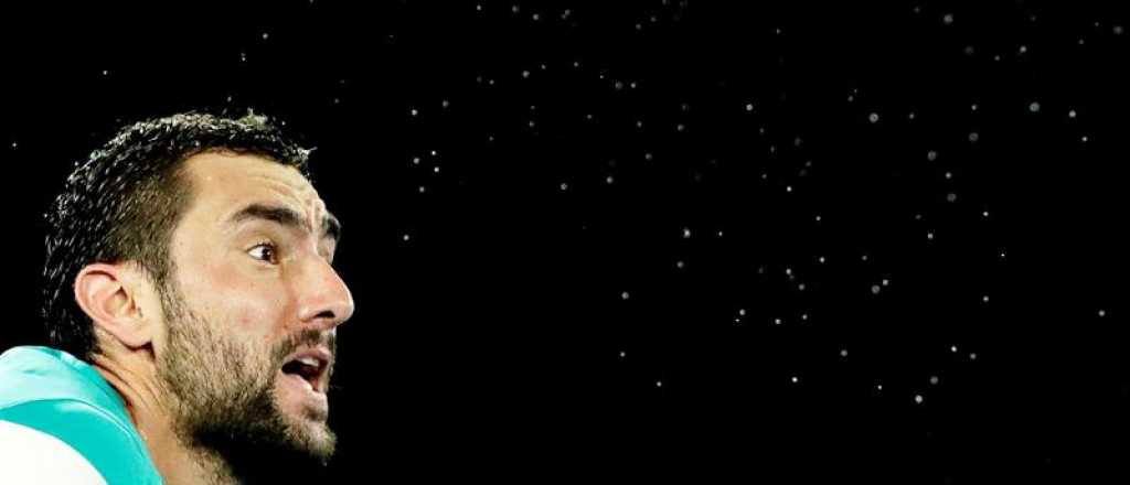 Croacia se tomó revancha del fútbol y se quedó con la Copa Davis