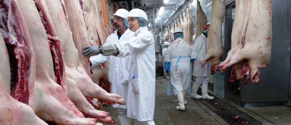 Sindicato de la carne firmó 17% de suba salarial y acumula 52% en 2019