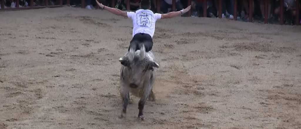 Video: toro descontrolado interrumpi&oacute; un partido de f&uacute;tbol en Jujuy