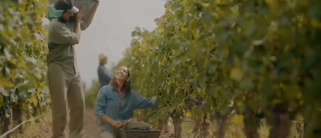 Video del spot oficial de la Fiesta de la Vendimia 2018