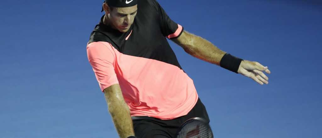 Del Potro ganó y está en semifinales en México
