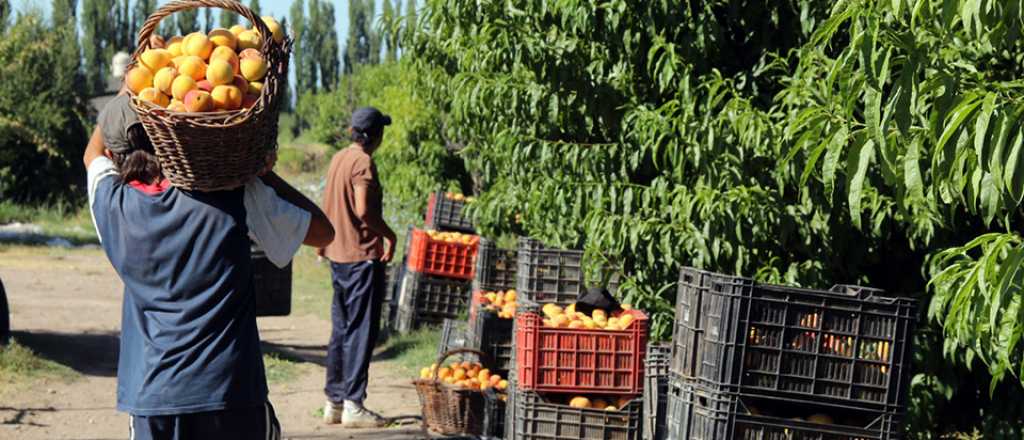 El Campo presentará un recurso en contra del bono agrario a trabajadores
