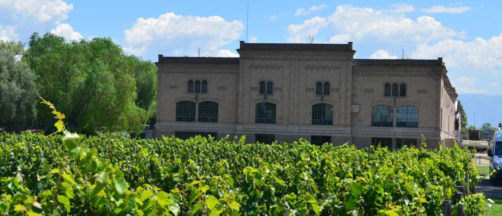 Visitando Bodegas: Trapiche y la mágica sensación de recorrerla