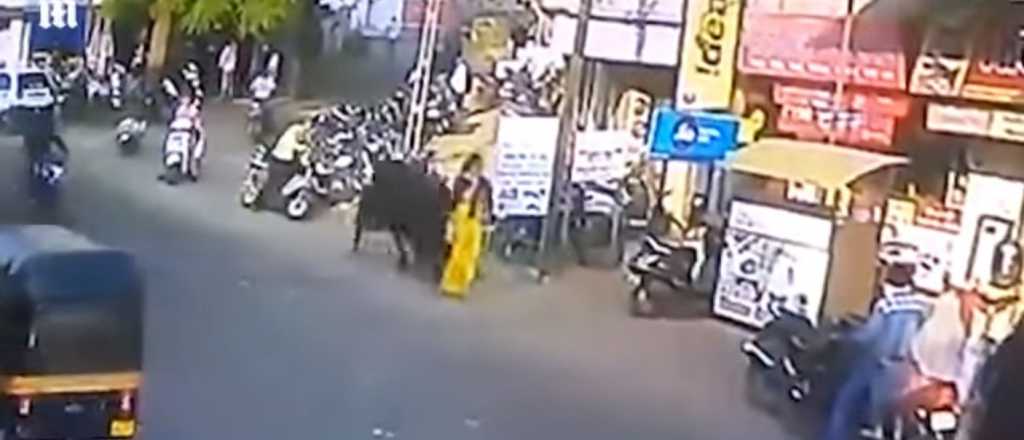 Video: un toro atacó a una mujer y la lanzó por los aires
