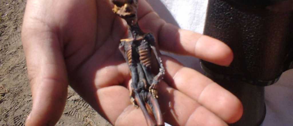 Se resolvi&oacute; el misterio del mini esqueleto de Atacama