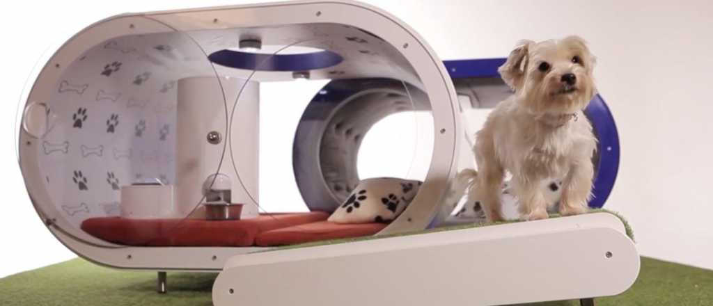 Esta es la "casa de los sueños" para perros