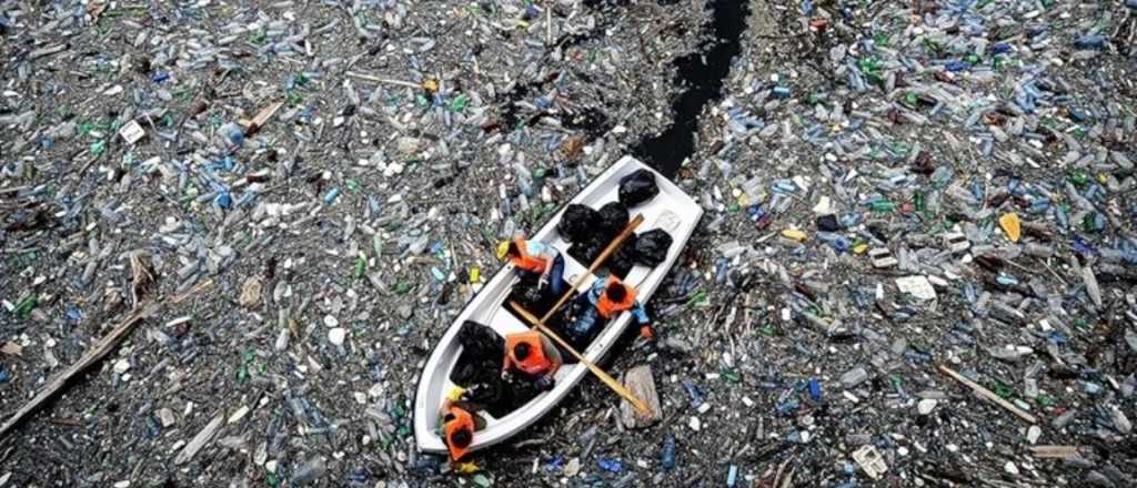 Conoc&eacute; la Isla Basura que estudiar&aacute;n los cient&iacute;ficos